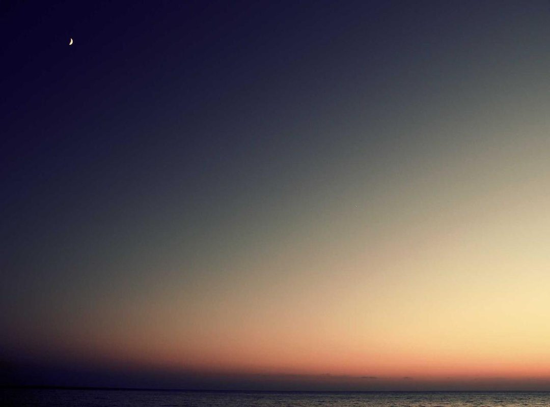 Maximizing the Portal: Key Features for Students