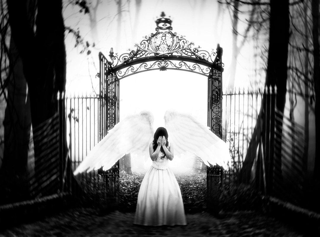 How to Verify Information About the Djarii Leaks