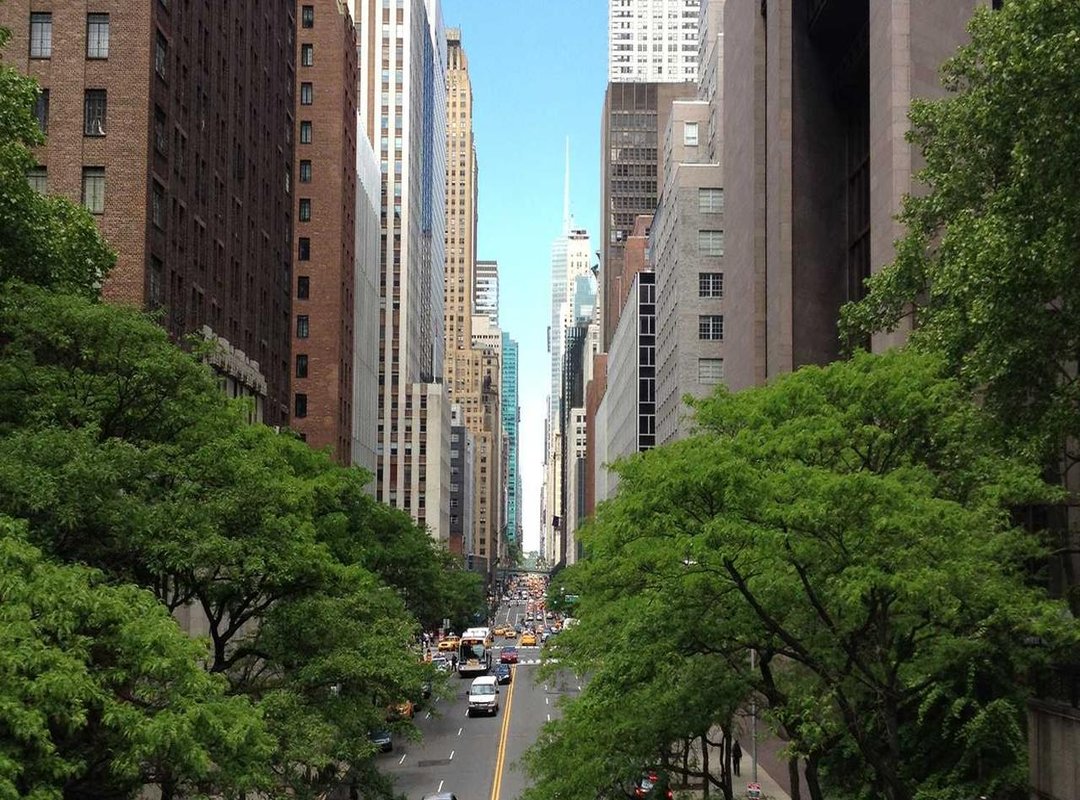 Through the Lens: A Descriptive Tour of the Wedding Photos