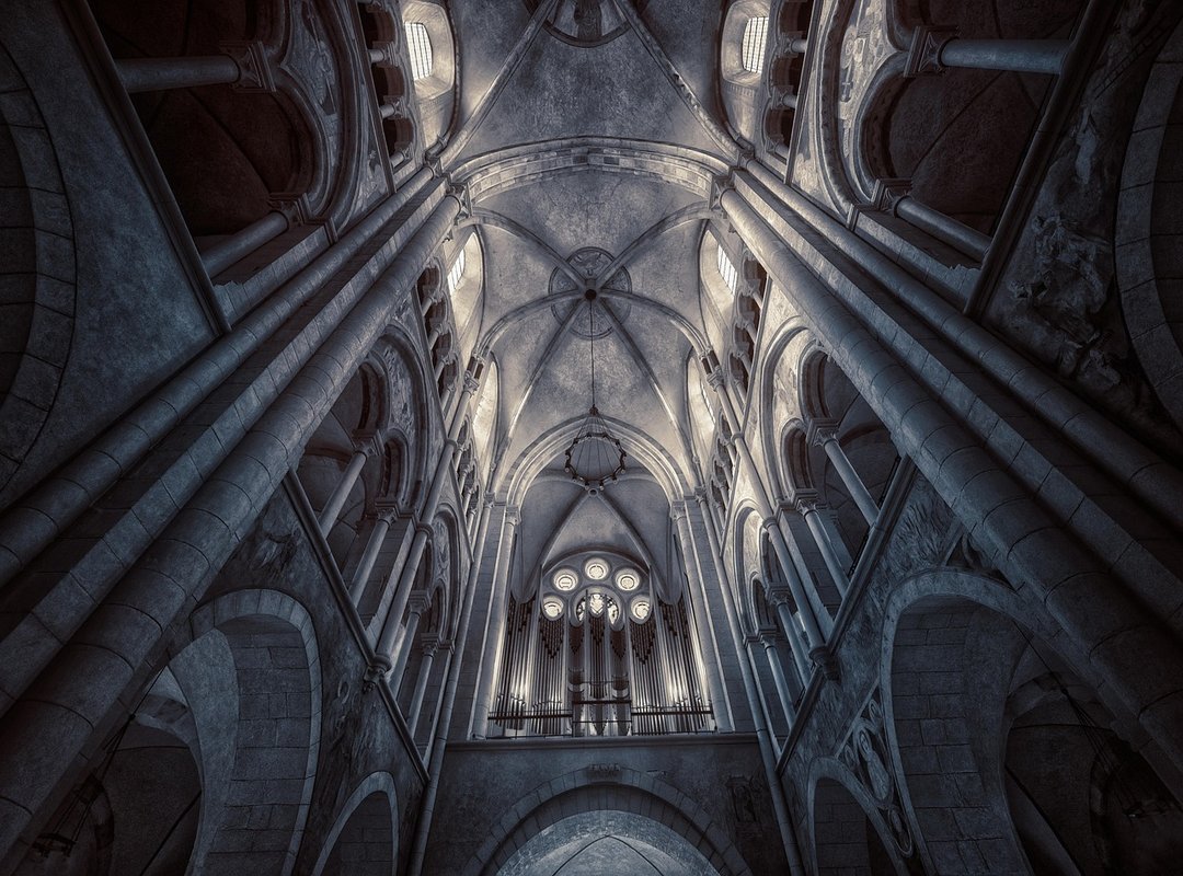 Her Background, Credentials, and Unique Perspective