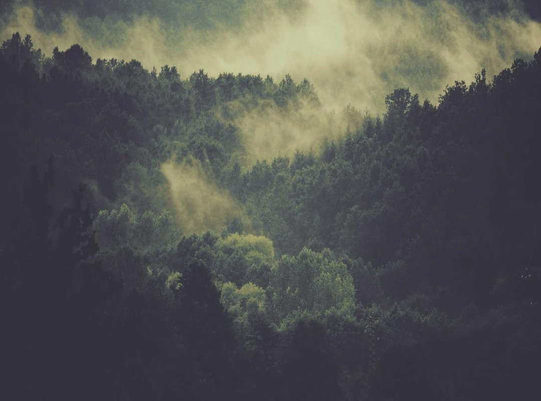 Decoding the Symbols: A Look at Key Cards