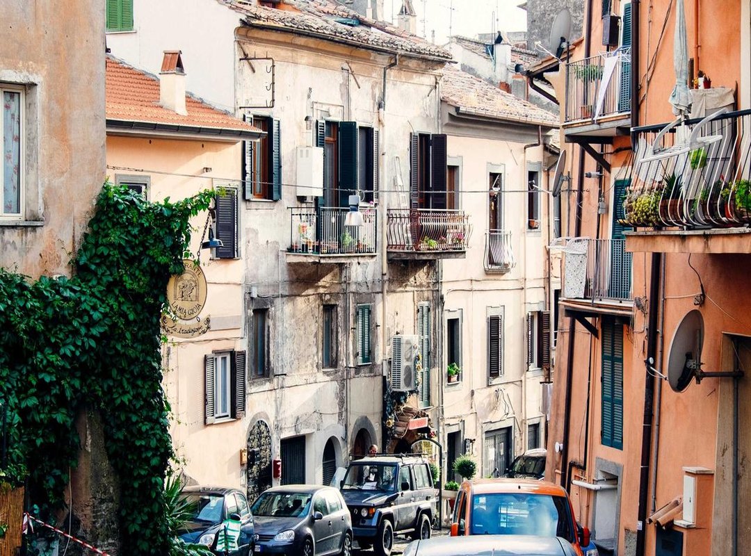 Paper Duck Kits: A Side-by-Side Comparison