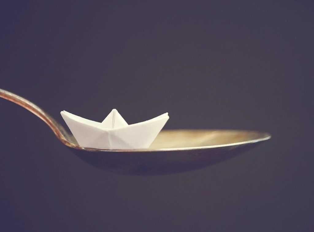 portion control tips